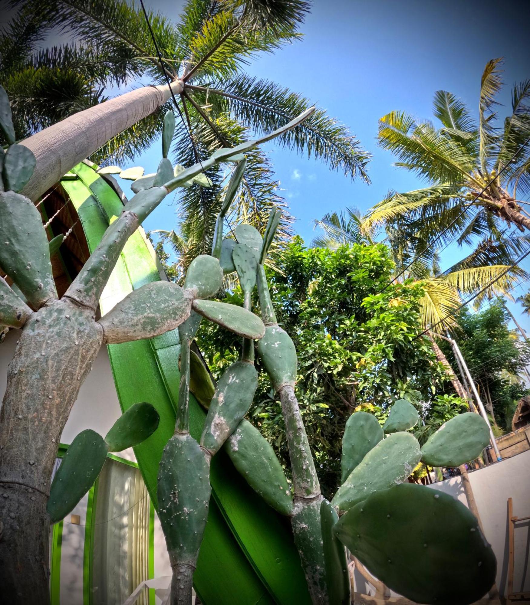 Kaktus Bungalow 1 Gili Air Dış mekan fotoğraf